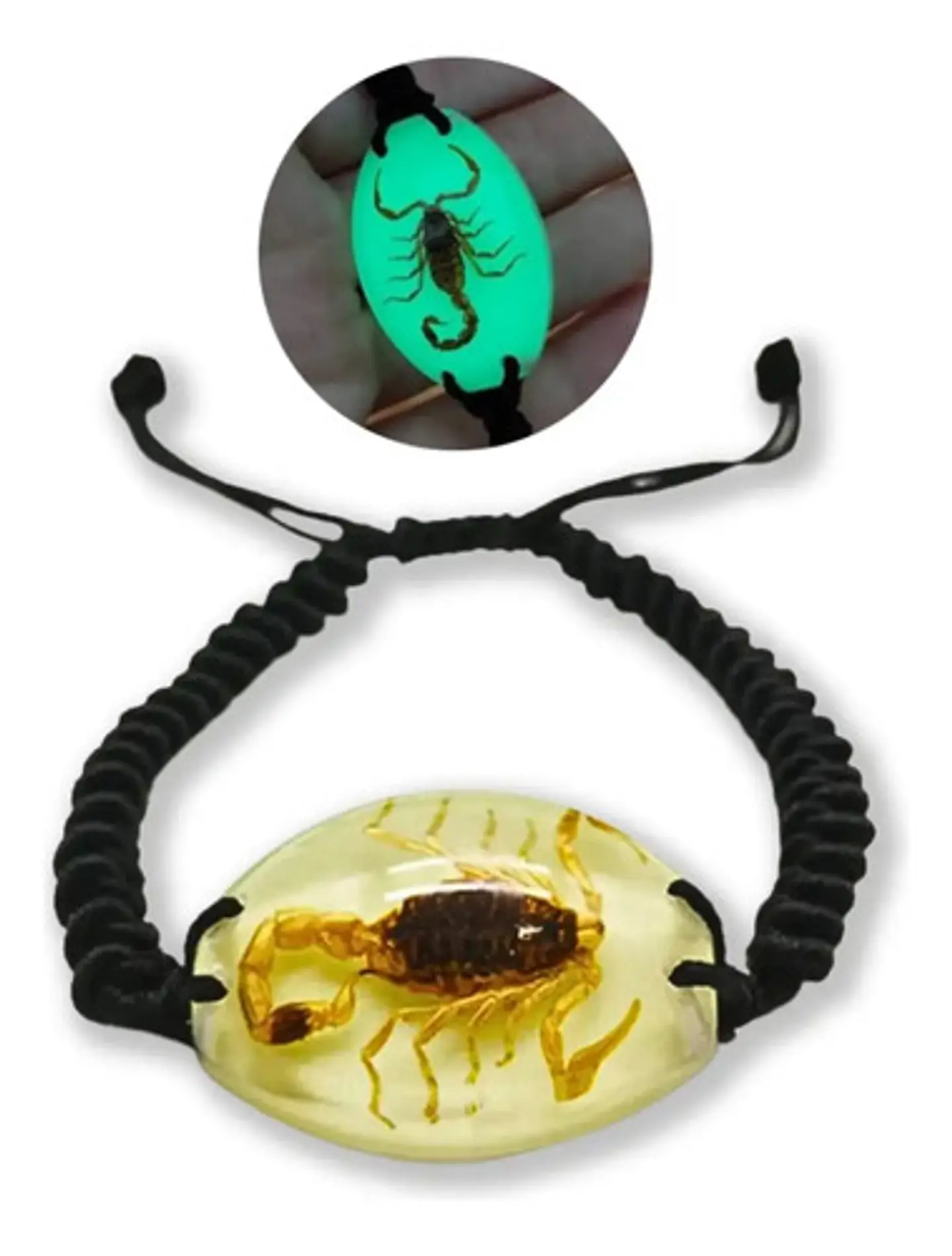 Pulsera para Para Hombre Manilla ajustable Escorpión Real Brilla En La Oscuridad 1