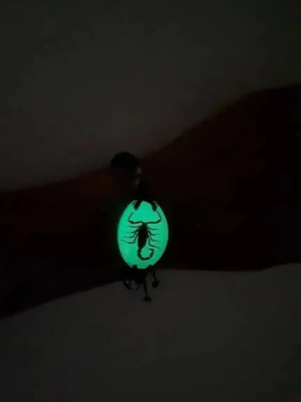 Pulsera para Para Hombre Manilla ajustable Escorpión Real Brilla En La Oscuridad 3