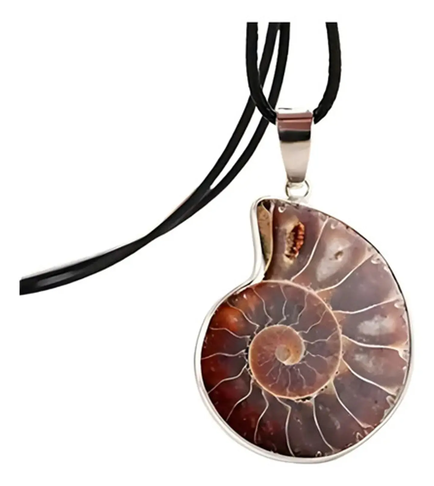 Collar Piedra Natural Amonita Concha Fósil Caracol Hombre 1