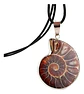 Collar Piedra Natural Amonita Concha Fósil Caracol Hombre - Miniatura 1