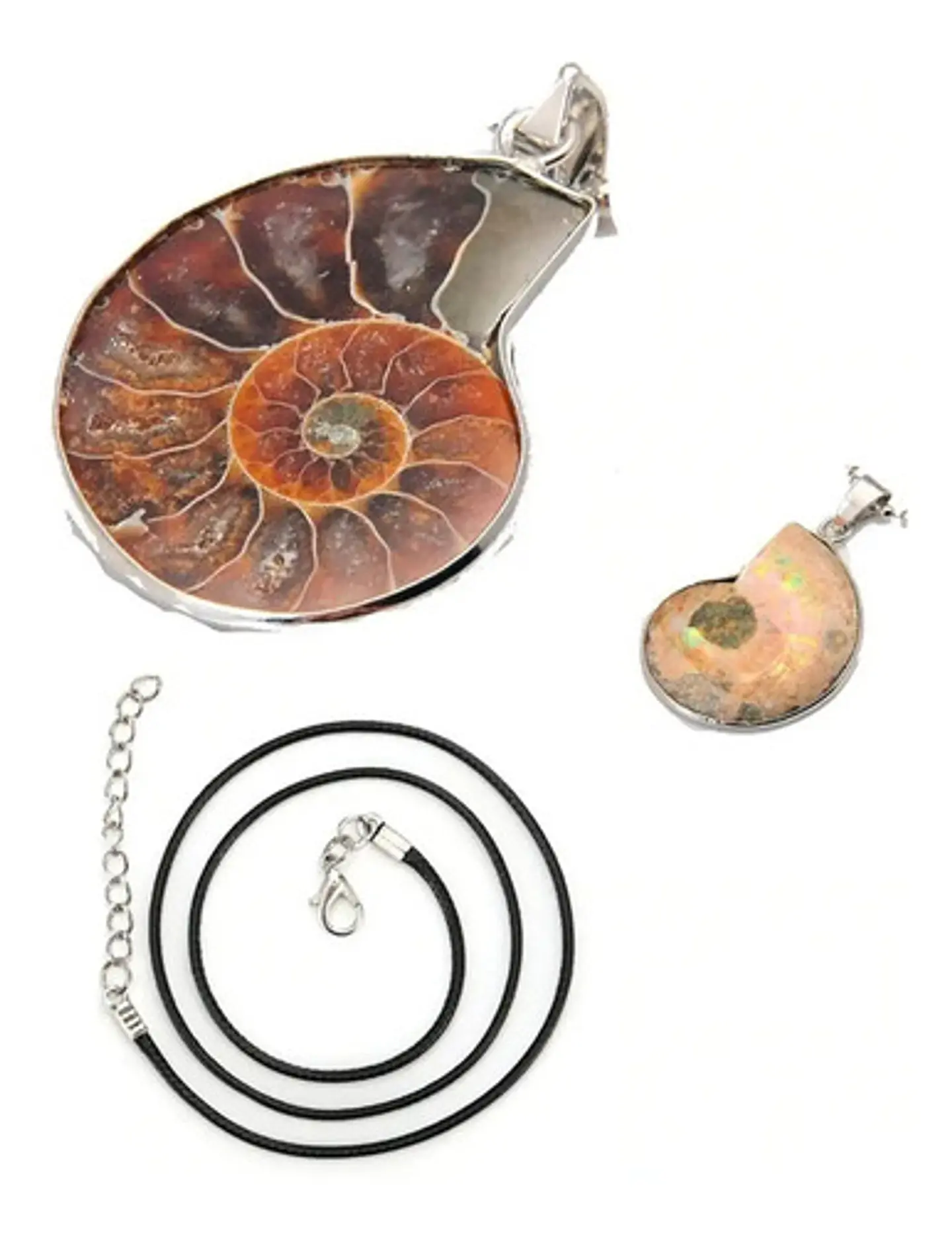 Collar Piedra Natural Amonita Concha Fósil Caracol Hombre 2