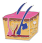 Broche Pin Medico Alerta Medica Ambulancia Tubo Hombre Mujer - Miniatura 10