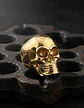 Anillo Cráneo Calaveras Skull Gótico Acero Inoxidable Hombre - Miniatura 19