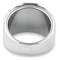 Anillo Argolla Acero Inoxidable Color Plata Piedra Hombre - Miniatura 11