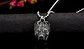 Collar Color Plata Pitbull Para Hombre - Miniatura 2