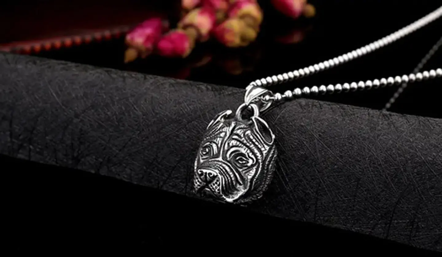 Collar Color Plata Pitbull Para Hombre 5