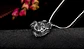 Collar Color Plata Pitbull Para Hombre - Miniatura 6