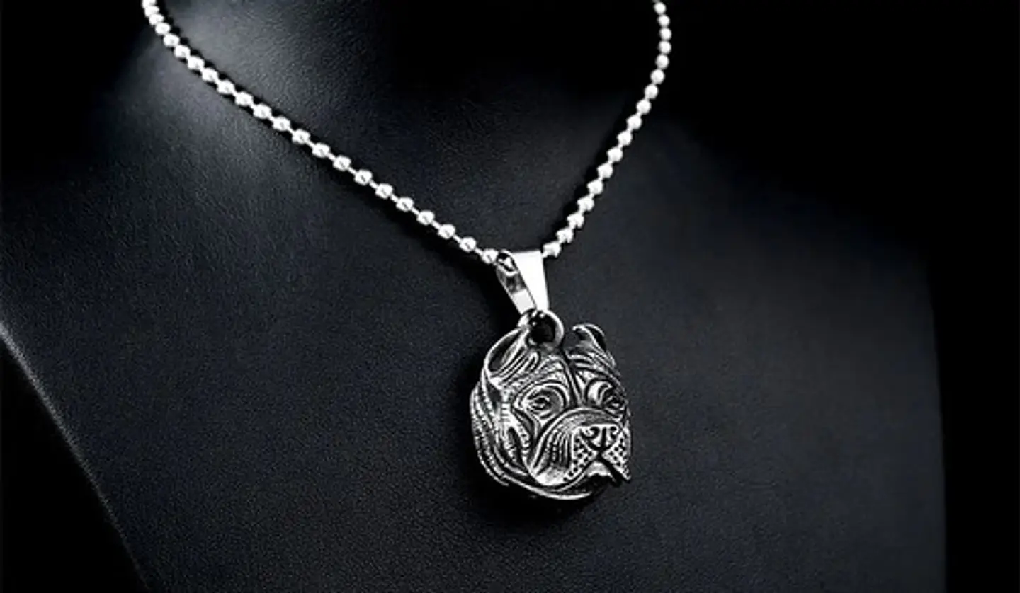 Collar Color Plata Pitbull Para Hombre 7