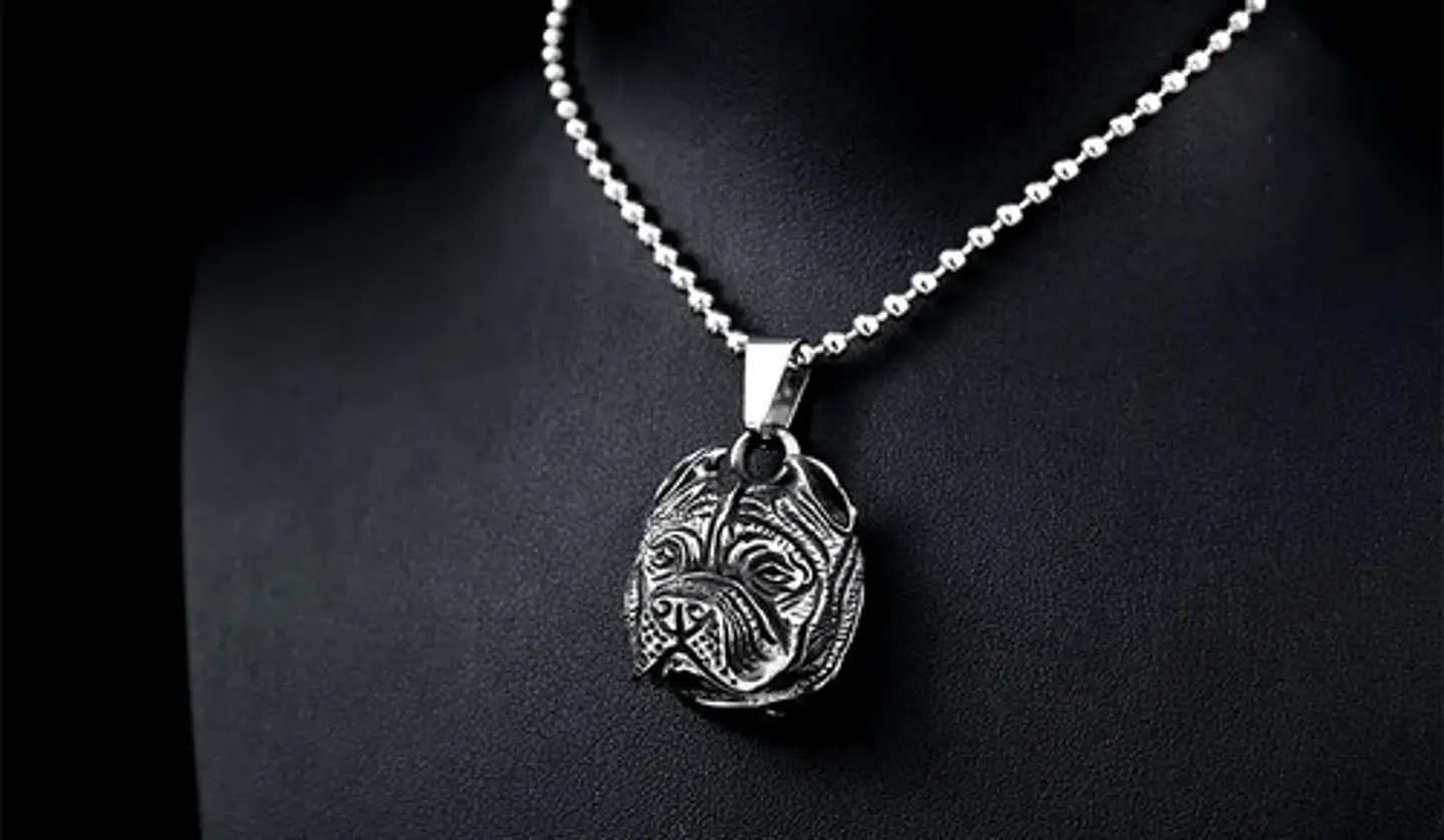 Collar Color Plata Pitbull Para Hombre 8