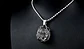 Collar Color Plata Pitbull Para Hombre - Miniatura 8
