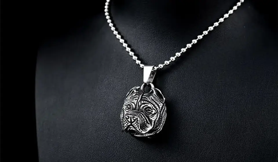 Collar Color Plata Pitbull Para Hombre 8