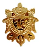 Broche Pins Insignia Medalla Militar Británico Para Hombre - Miniatura 19