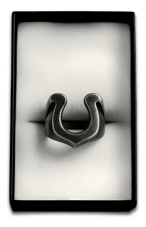 Anillo Hombre Forma De Herradura Caballo Acero Color Plata