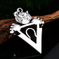 Collar Acero Inoxidable Cráneo Calavera Vikingo Tigre Hombre Plateado - Miniatura 6
