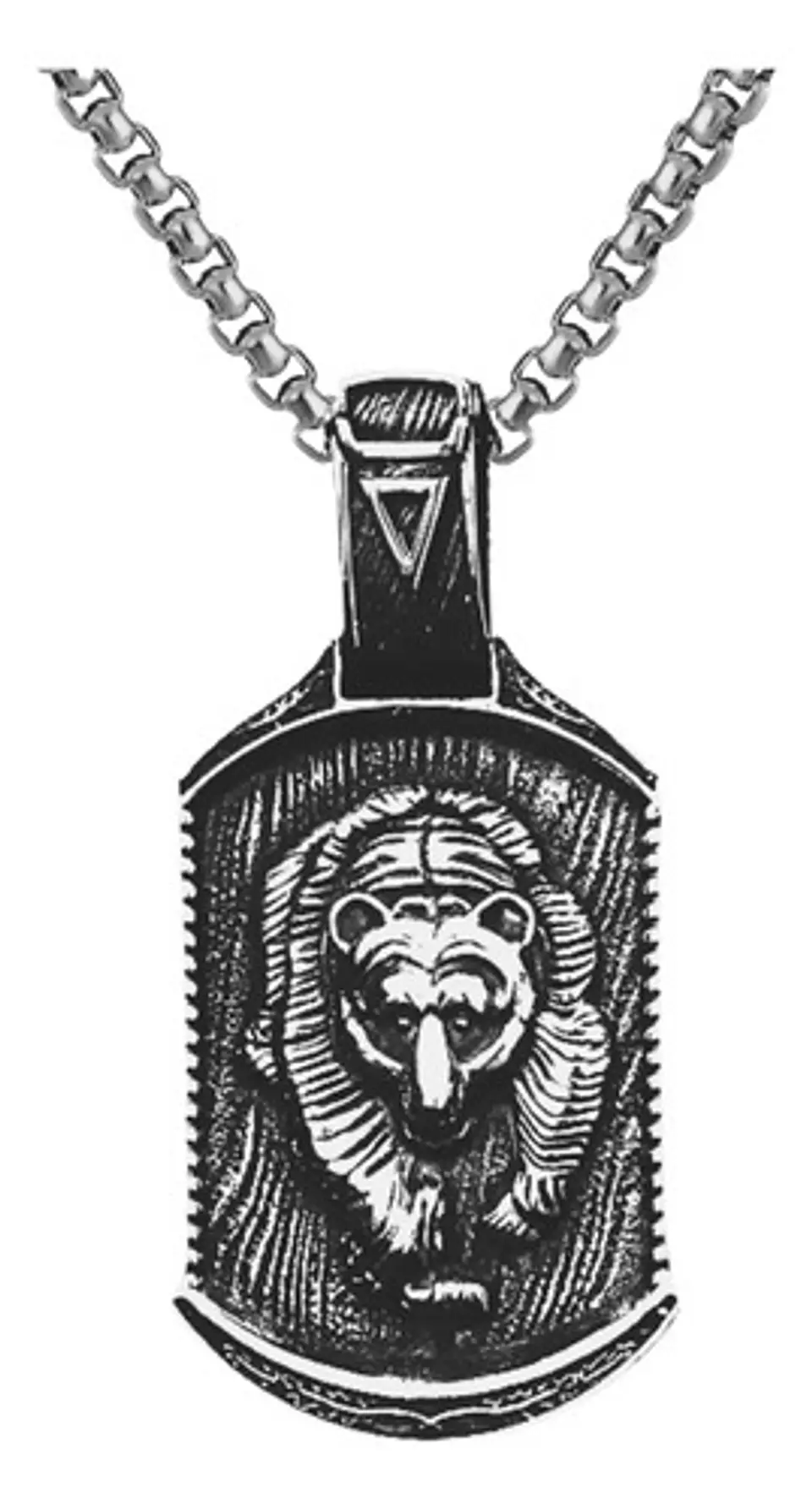 Collar Placa Oso Vikingo Color Plata Acero Inoxidable Hombre 1