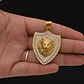 Collar Dije Escudo Leon Color Oro Acero Inoxidable Hombre - Miniatura 5