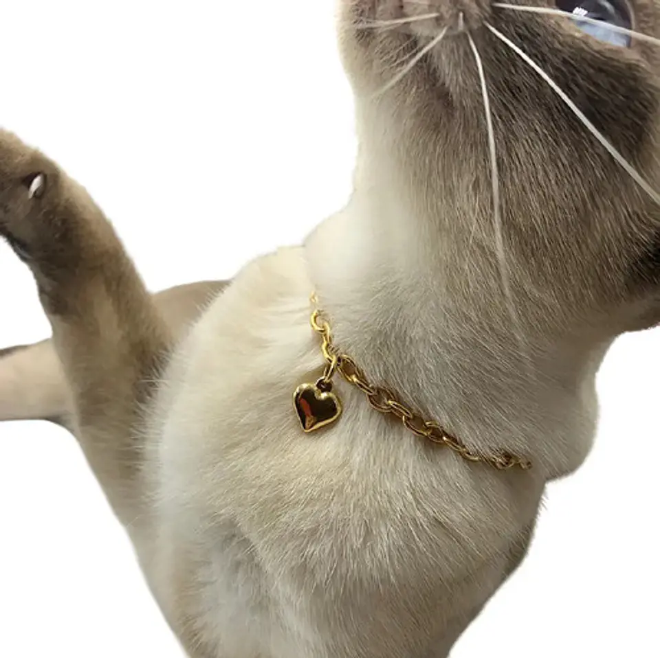 Collar Cadena Color Oro Dije Corazón Para Mascota Gato Perro 1