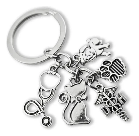 Llavero Veterinario Color Plata Estetoscopio Hombre Y Mujer