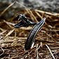 Anillo Serpiente Color Plata Acero Inoxidable Hombre Y Mujer - Miniatura 29