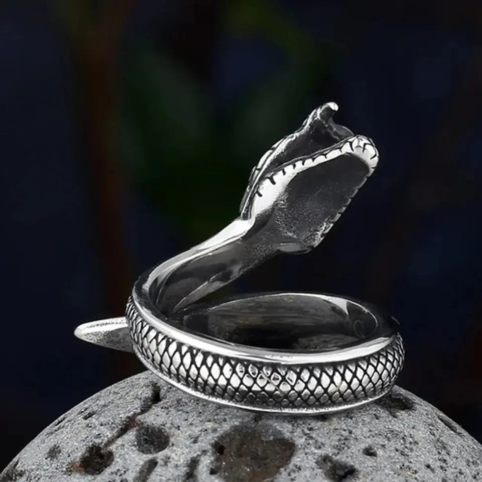 Anillo Serpiente Color Plata Acero Inoxidable Hombre Y Mujer 31