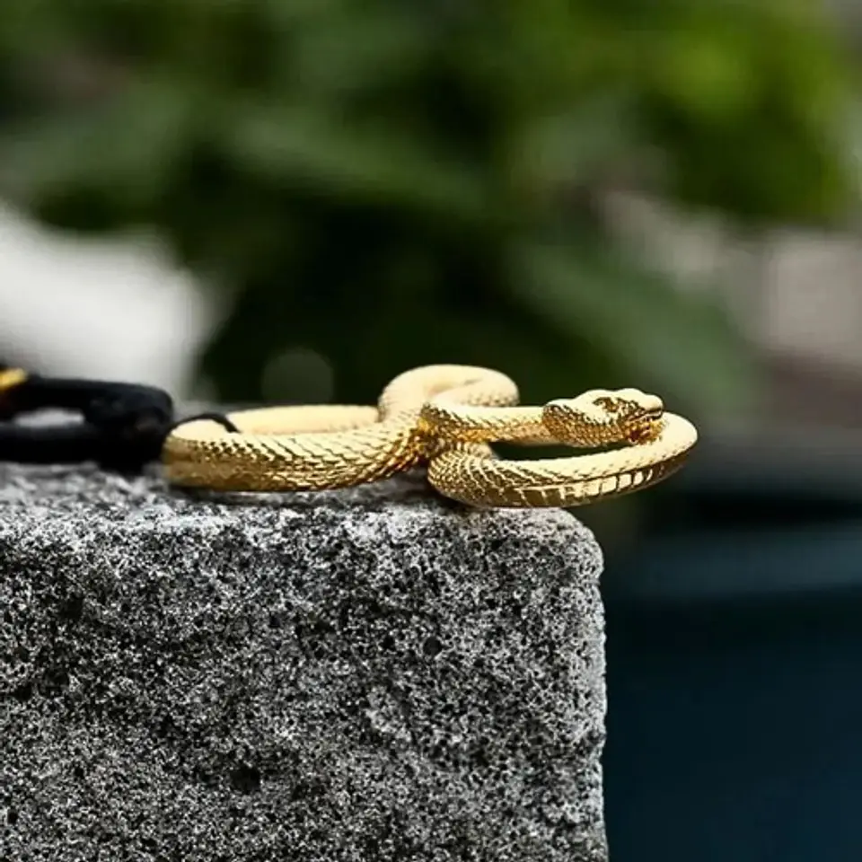 Collar Cadena Dije Serpiente Acero Color Oro/plata Hombre 3
