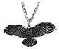 Collar Dije Y Cadena Cuervo Vikingo Acero Color Plata Hombre - Miniatura 1
