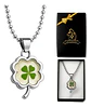 Collar Dije Para Hombre Y Mujer Trébol 4 Hojas Natural Acero - Miniatura 1