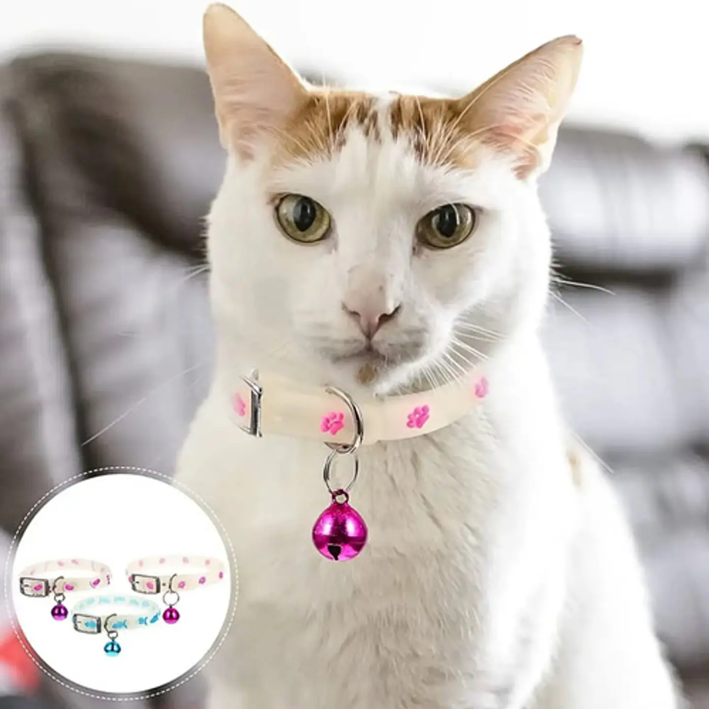 Collar Brilla En La Oscuridad Cascabel Mascota Gato Perro 3
