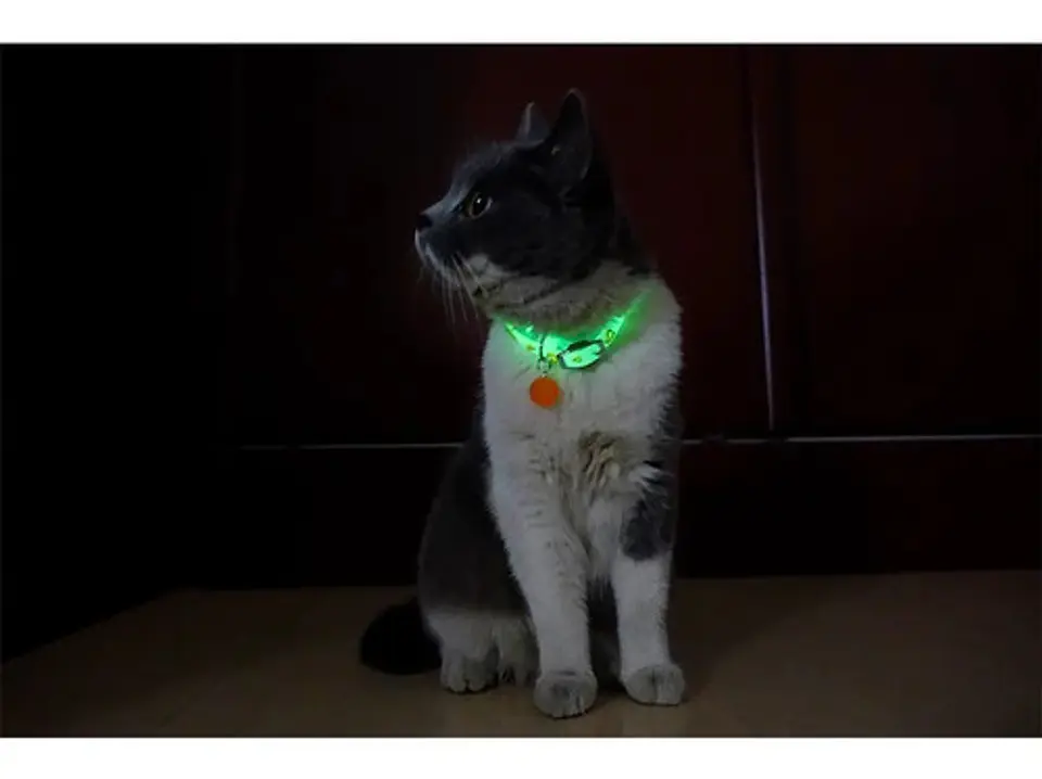 Collar Brilla En La Oscuridad Cascabel Mascota Gato Perro 5