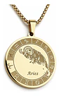 Collar De Acero Para Hombre Y Mujer Dije Signos Zodiacales - Miniatura 21