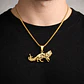 Collar En Acero Dorado Para Hombre Y Mujer Dije Gato Persa - Miniatura 17