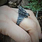 Anillo Para Hombre Con Forma De Cabeza De Dragón 3d De Acero - Miniatura 2
