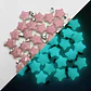 Collar Mujer Con Dije Cuarzo Estrella Brilla En La Oscuridad - Miniatura 33