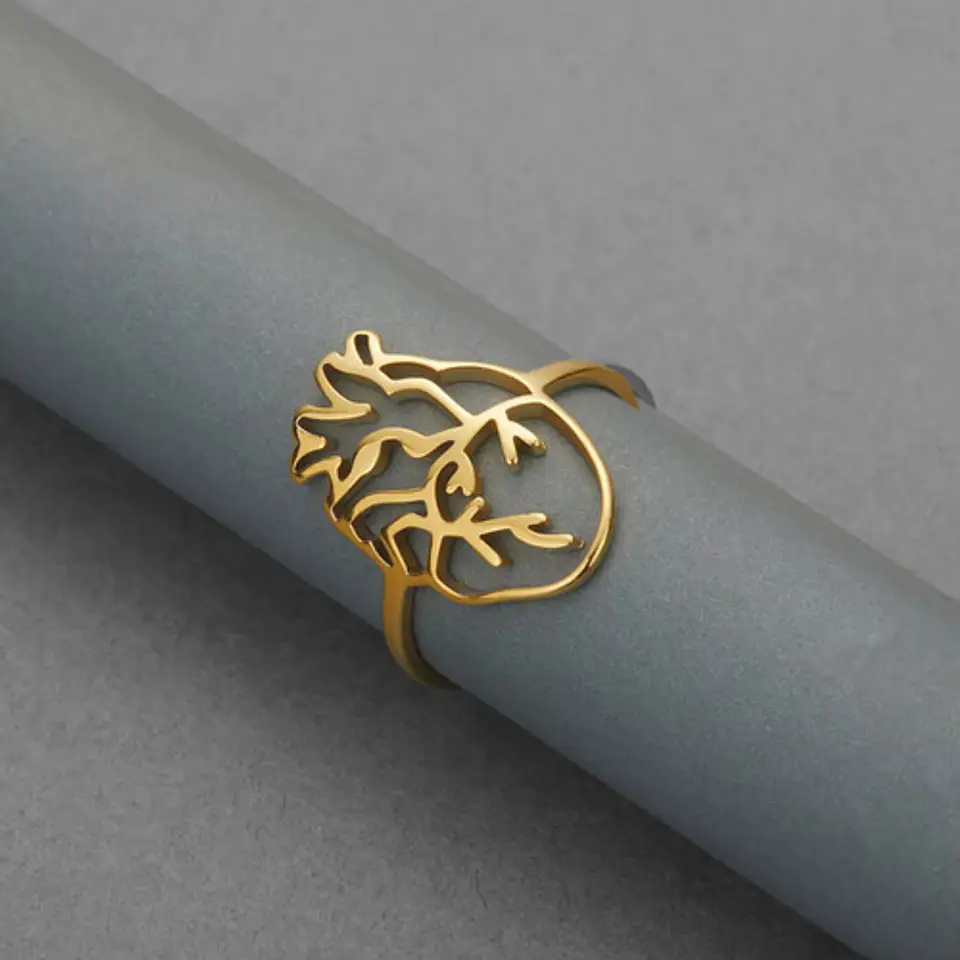 Anillo Para Hombre Y Mujer Color Oro Corazón Anatómico Hueco 4