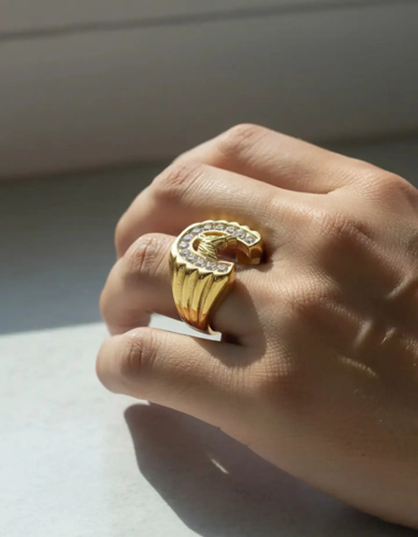 Anillo Color Oro Acero Inoxidable Caballo Piedras Cz Hombre 5