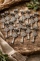 Set 20 Dijes Medallas Llaves Sello De San Benito De Nursia - Miniatura 11