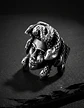 Anillo Color Plata De Acero Para Hombre Forma Medusa Gótico - Miniatura 5