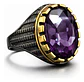 Anillo Moderno Clásico Para Hombre Y Mujer Piedra Morada Cz - Miniatura 1