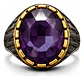 Anillo Moderno Clásico Para Hombre Y Mujer Piedra Morada Cz - Miniatura 4
