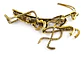 Broche De Alfiler Hombre Y Mujer En Forma De Insecto Mantis - Miniatura 2