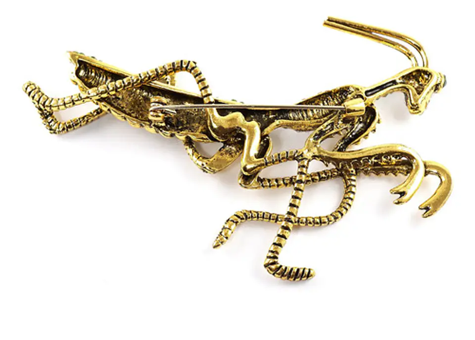 Broche De Alfiler Hombre Y Mujer En Forma De Insecto Mantis 2