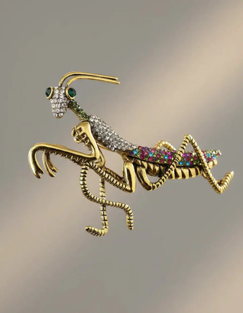 Broche De Alfiler Hombre Y Mujer En Forma De Insecto Mantis 5