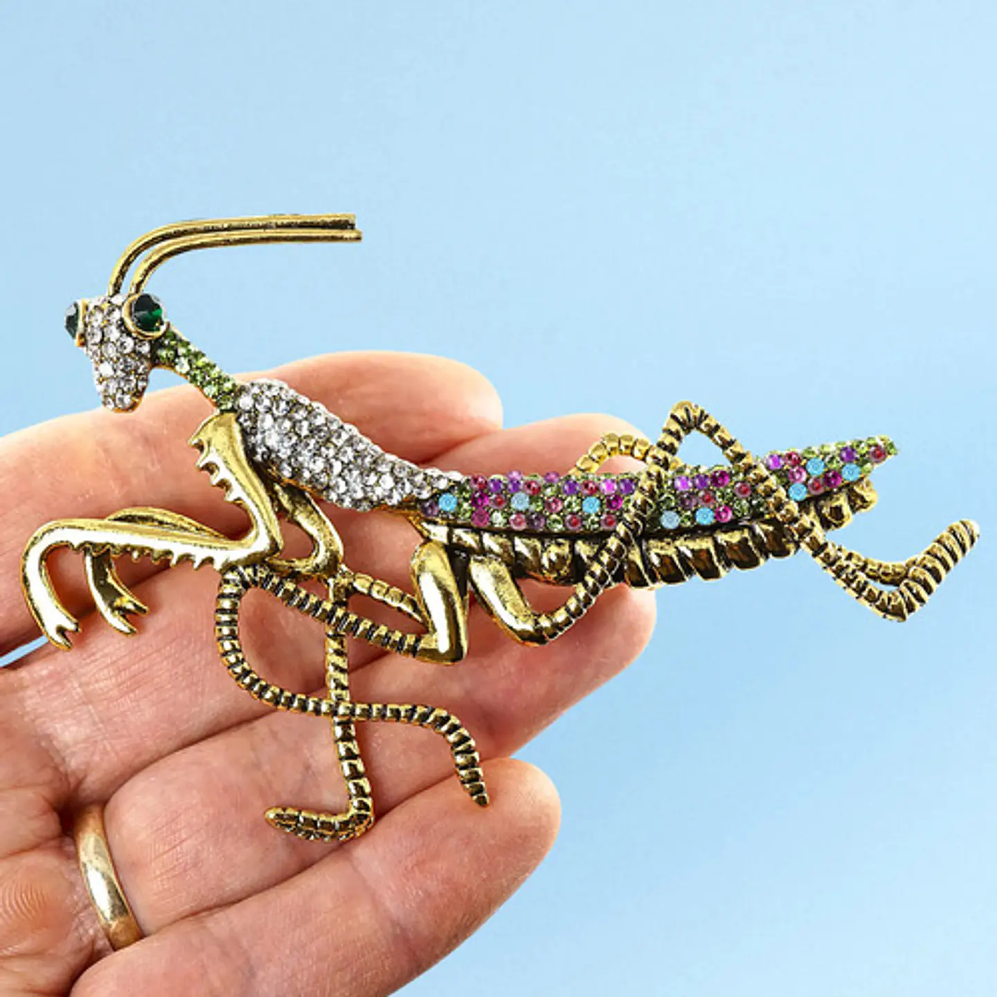 Broche De Alfiler Hombre Y Mujer En Forma De Insecto Mantis 10