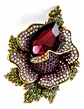 Broche De Alfiler Para Mujeres Flor Vintage Con Piedras Cz - Miniatura 19