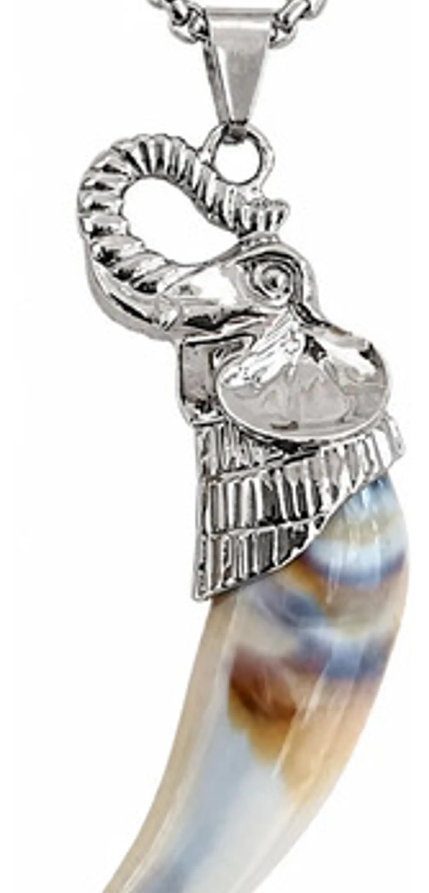 Collar Para Hombres Y Mujeres Dije Colmillo Diente Elefante 1