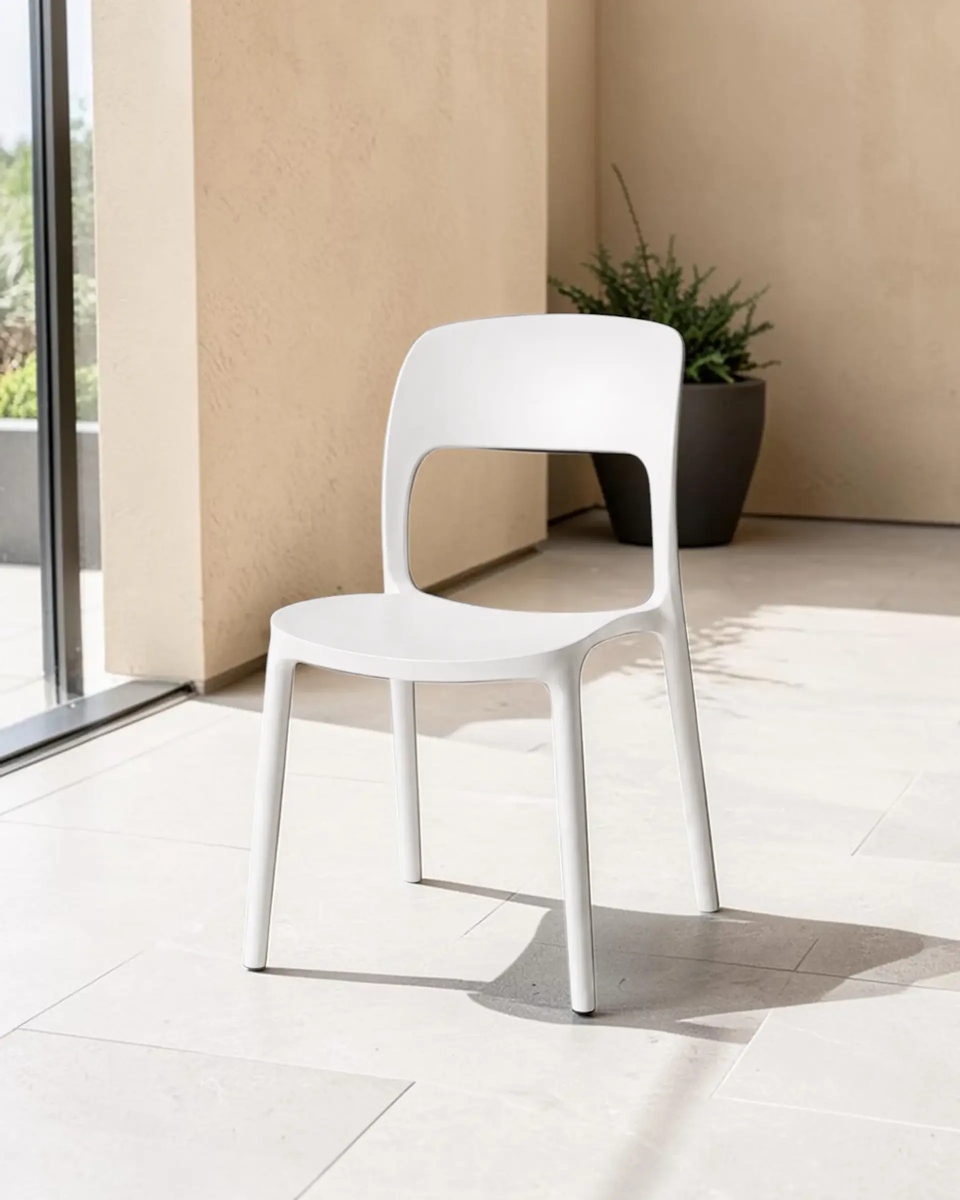 Silla Kentucky 6