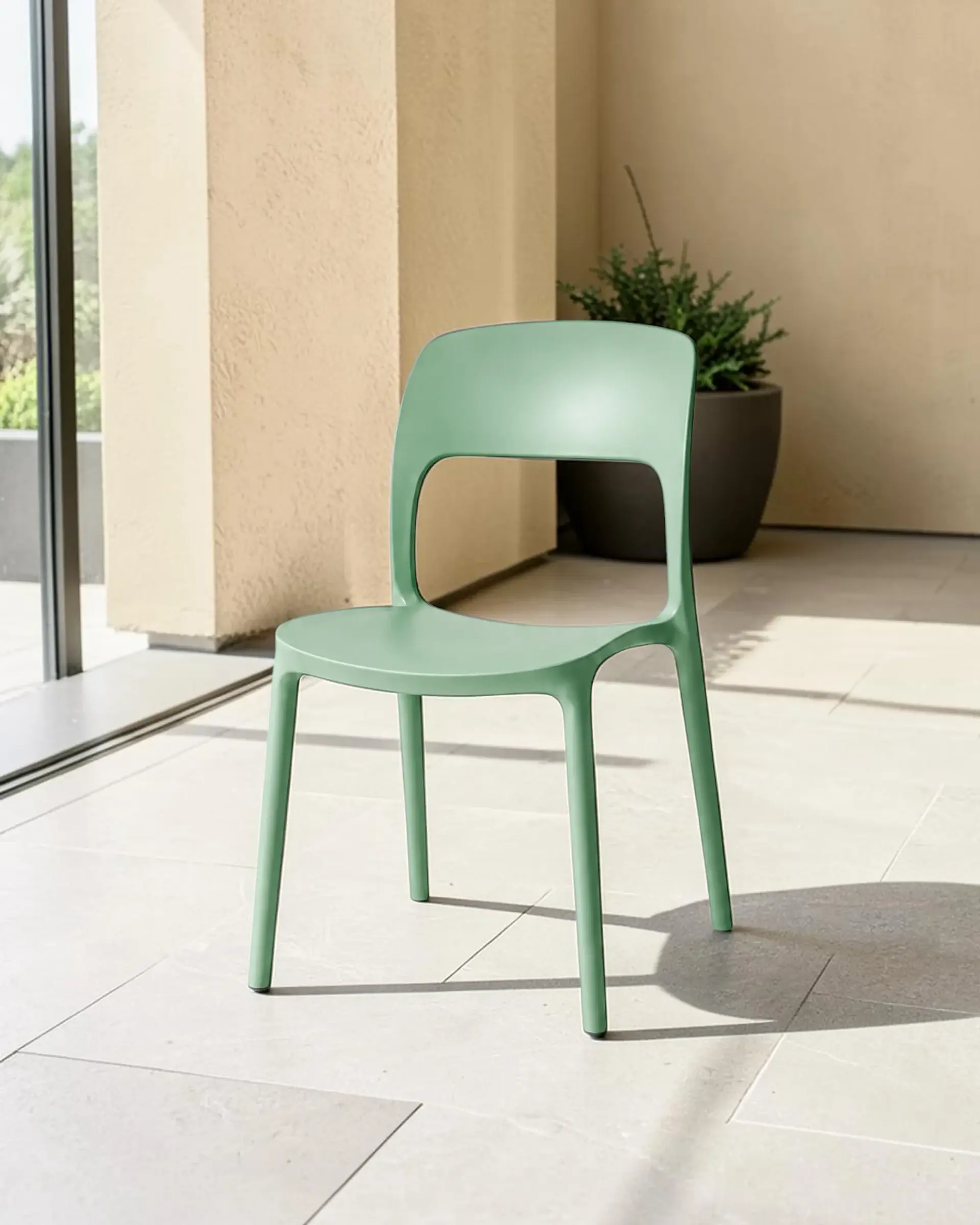 Silla Kentucky 7