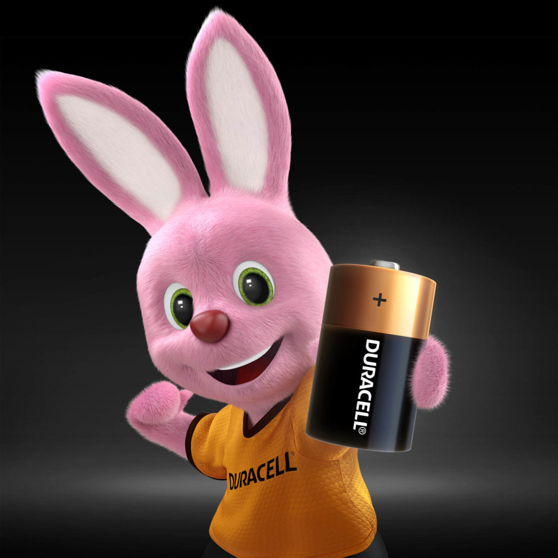 Pila Duracell Alcalina D