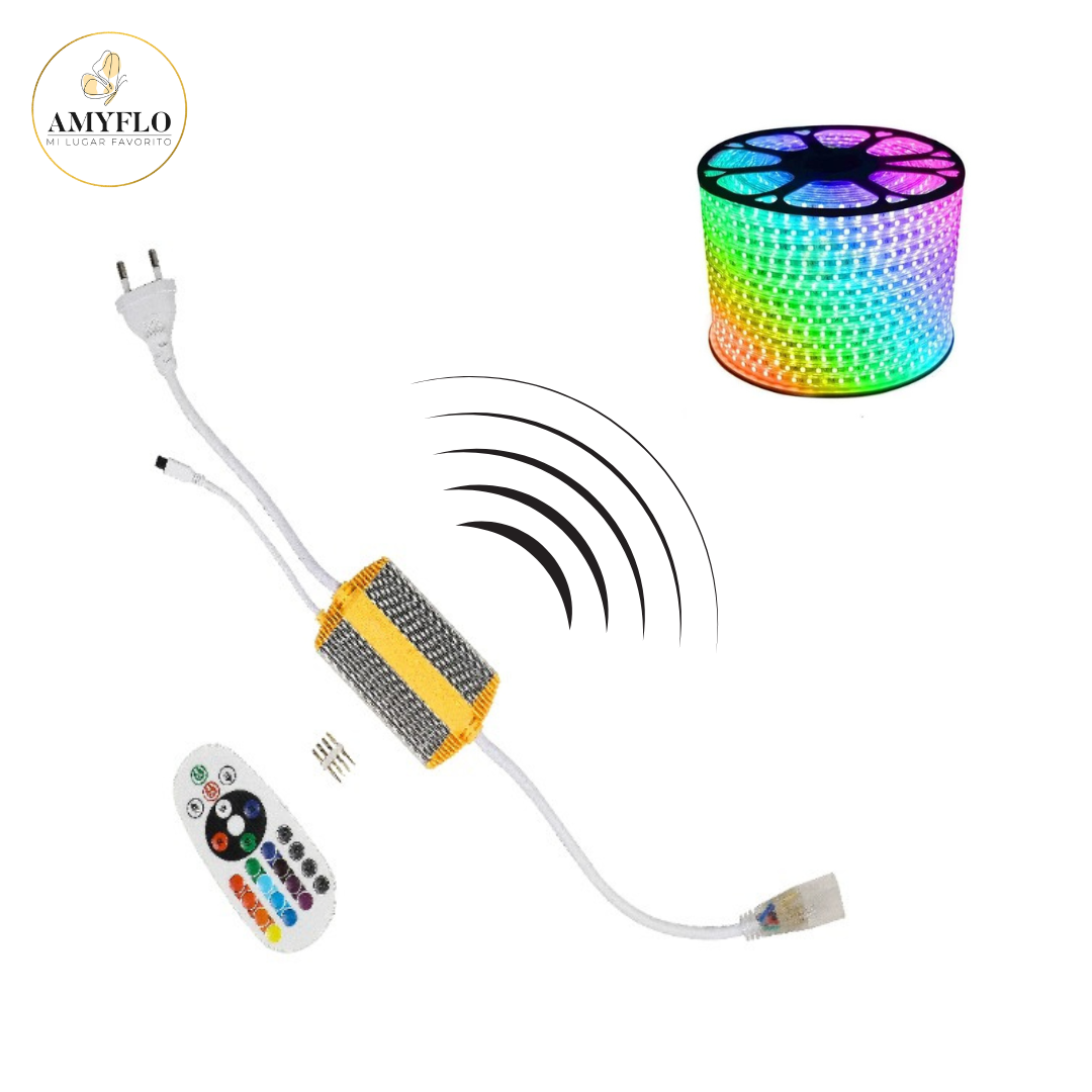 Conector control remoto Cinta RGB