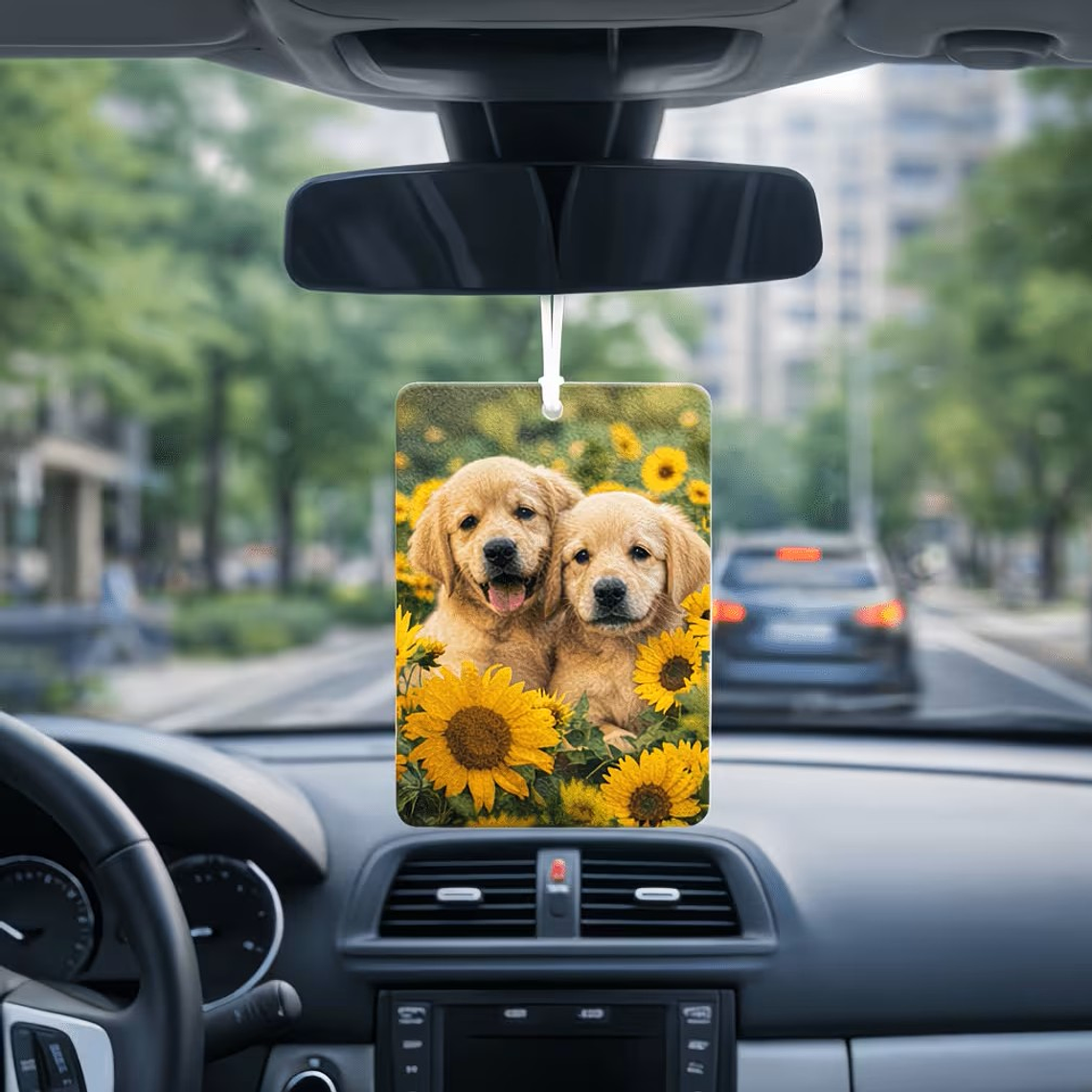 Ambientadores Auto 3